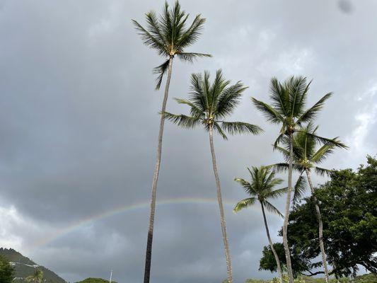 Rainbow blessings outside