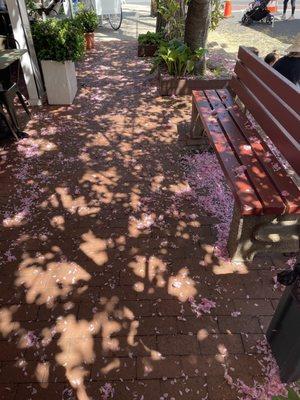 Outdoor patio opens to sidewalk. Lovely shade.