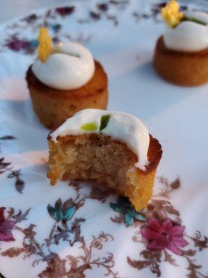 Onion financier