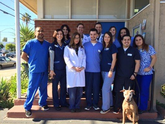 The caring & experienced team at VCA Santa Anita Animal Hospital