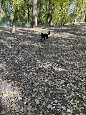 Bassett Creek Park