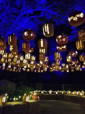 Pumpkin Hall