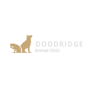 Doddridge Animal Clinic