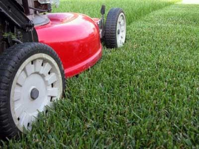 Mowing, raking, bagging, hauling, trimming, watering, and etc. Commercial or Residential Lawns.