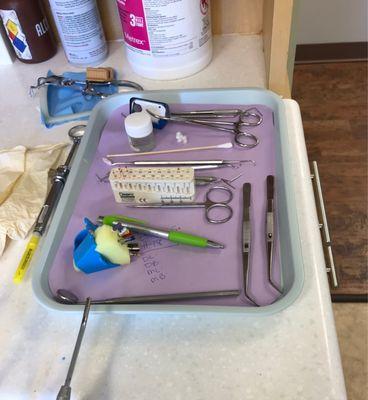 Root canal tray