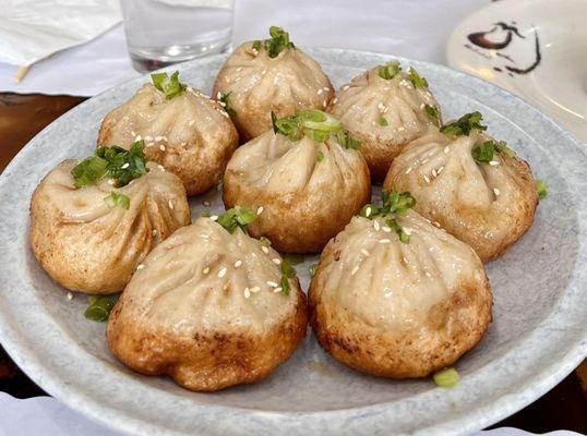 Pan fried Shanghai dumplings