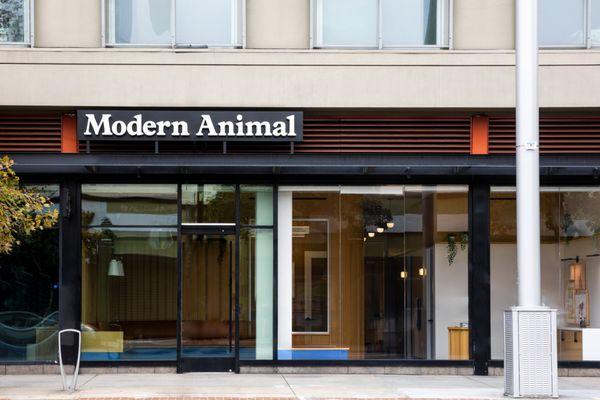 Modern Animal