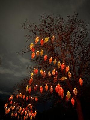 Zoo lights walkway