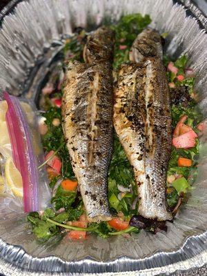 Branzino, tests exelent