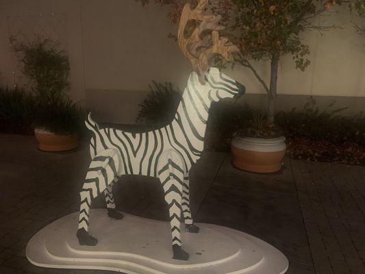 Rain zebra deer