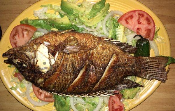 Mojarra