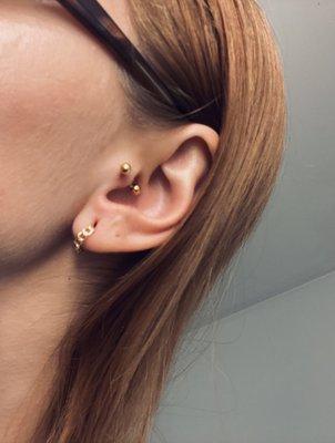 Tragus