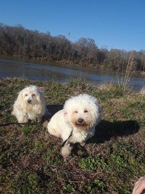 Little on left, Lucy on right immediately after being in ICU.