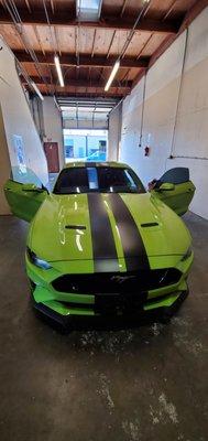 2020 FORD MUSTANG GT PASSENGER WINDOW REPLACEMENT