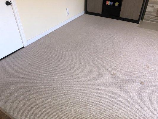 This is the carpet AFTER I used the Rug Doctor that I rented from Safeway to clean and shampoo the carpet myself for $64.