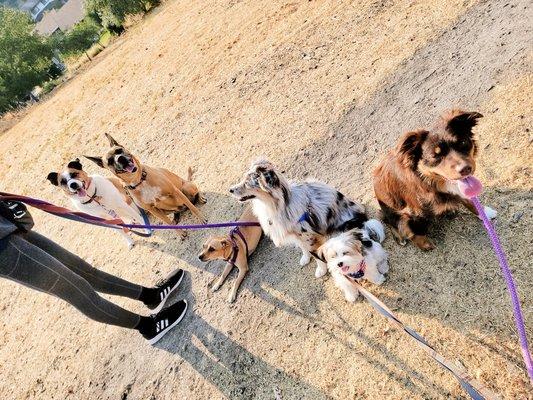 Group training walk