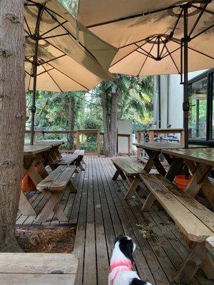 Nice outdoor seating that overlooks Marymoor Park