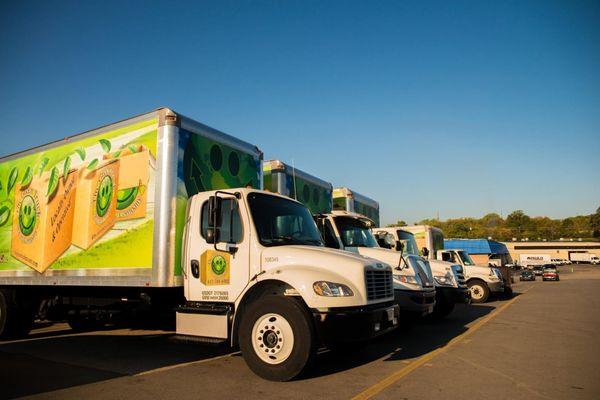 The Green Truck Moving & Storage