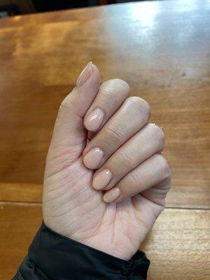 Color: LDS 182 $45 for a dip mani!