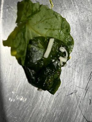 Slimly dead spinach in my bowl