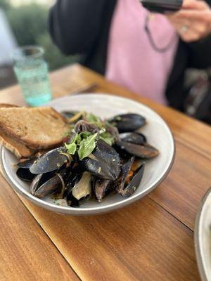 Mussels