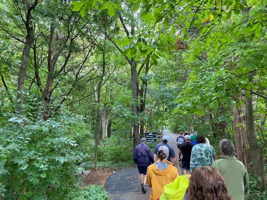 The walk down to the cave entrance.