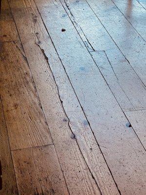 Wood's floor