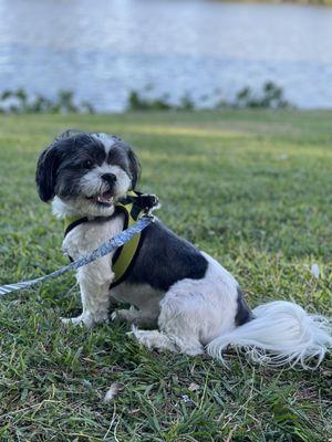 Valley Ranch Pet Clinic