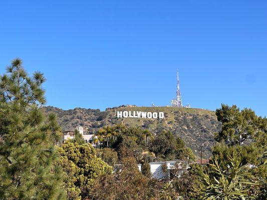 View of Hollywood sign from Hollywoodland neighborhood