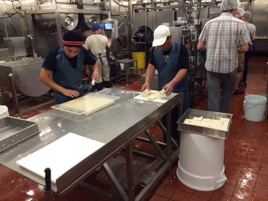 Slicing up tofu