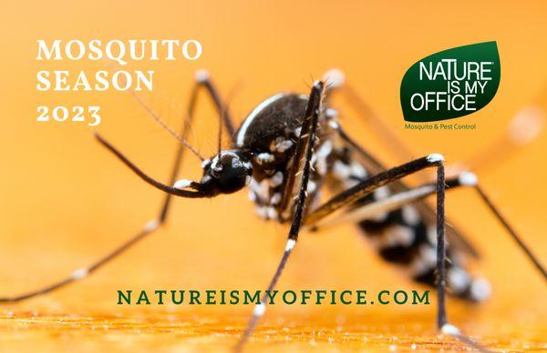 Mosquito control from Nature Is My Office Pest Control.