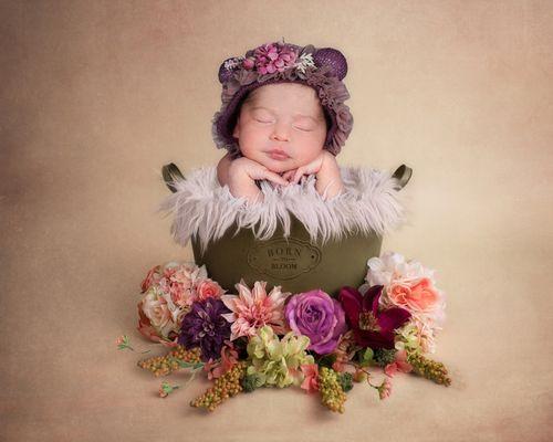 Beautiful Newborn Portraits