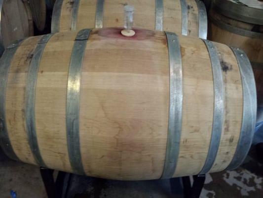 Barrels of wine aging!