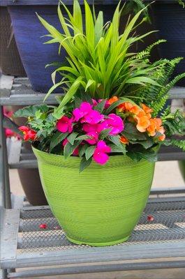 Shade Combination Planter