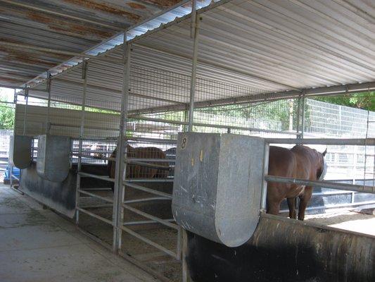 All stalls have 12' of solid cover wih feeders mounted on the outside of the stall for maximum space and safety for each horse.