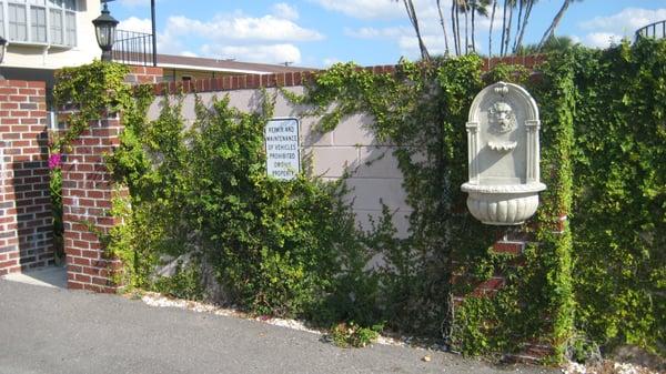 Let this little hidden gem be your next home. Our courtyard has a beautiful pool and garden.