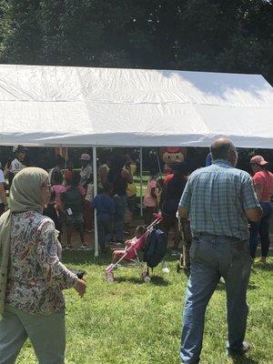 Brutus the Buckeye underneath the tent!