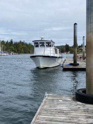 Deer Harbor Charters