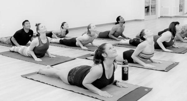 Bikram Yoga North Texas Cobra Pose