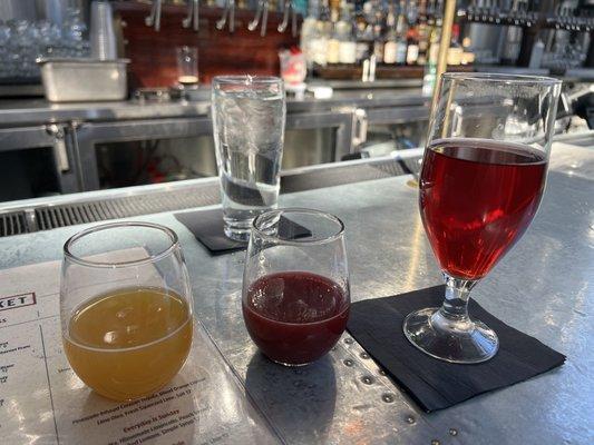 Fruited sour beers