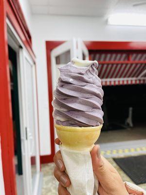 Blueberry soft serve (couldn't resist taking a bite before clicking the picture, but it turned out to be harder)