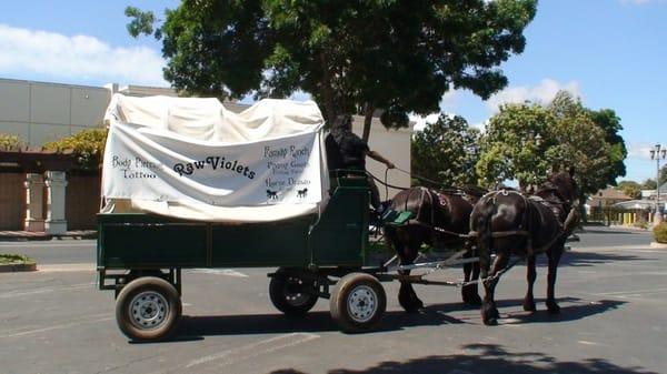 Wagon rides Elks Parade town center