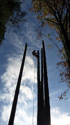 Clay's Tree Service