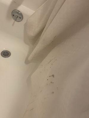 Mold all over the shower curtain with an actual smell of urine.