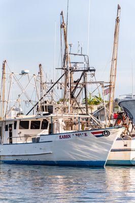 Anne's Calmwater Charters