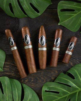 @davidoff Escurio. In stock now!