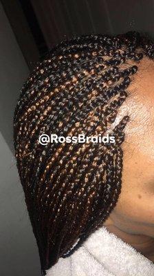 Micro braids @RossBraids