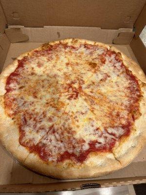 Plain Cheese and Sauce Pizza