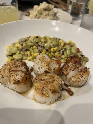 Seared scallops and succotash