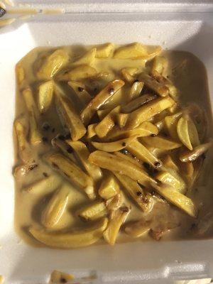 Cheese and Gravy French Fries